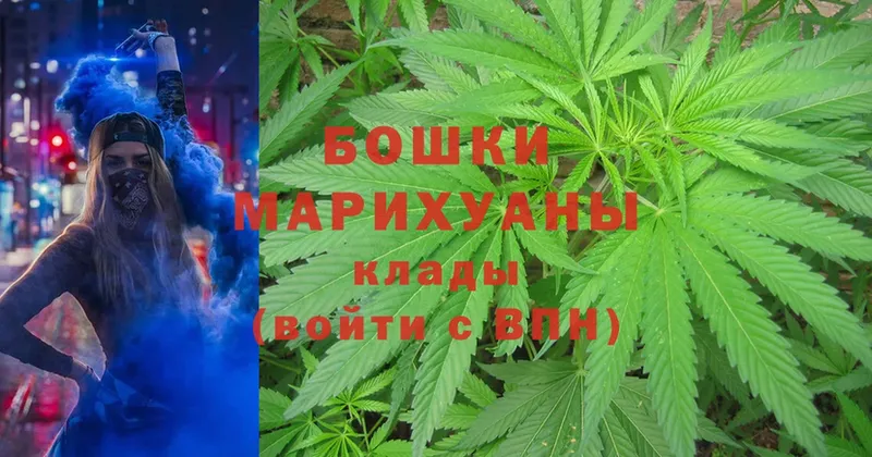 купить  цена  Калининск  Бошки Шишки SATIVA & INDICA 